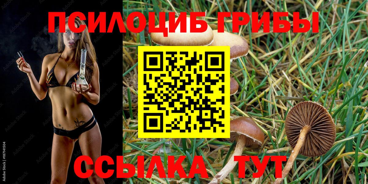 Калач-на-Дону  Галлюциногенные грибы Psilocybe  Вход с VPN 